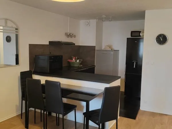 Appartement T2 meublé entièrement rénové à louer, idéal interne ou étudiant en médecine - Strasbourg