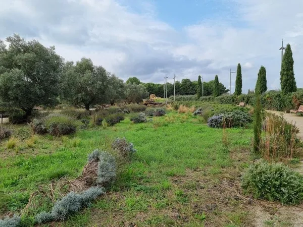 Terrain à bâtir Vente Agde  1321m² 221000€