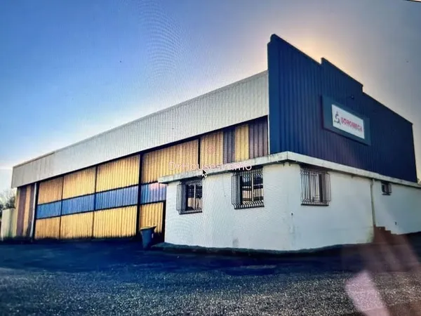 Local 4 pièces 1250 m²