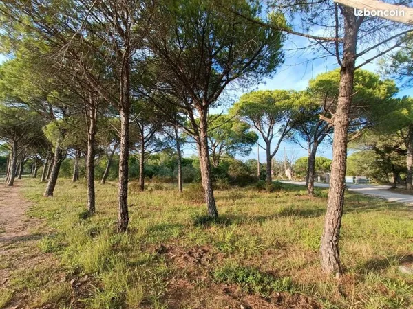 Terrain 622 m² Puget Sur Argens