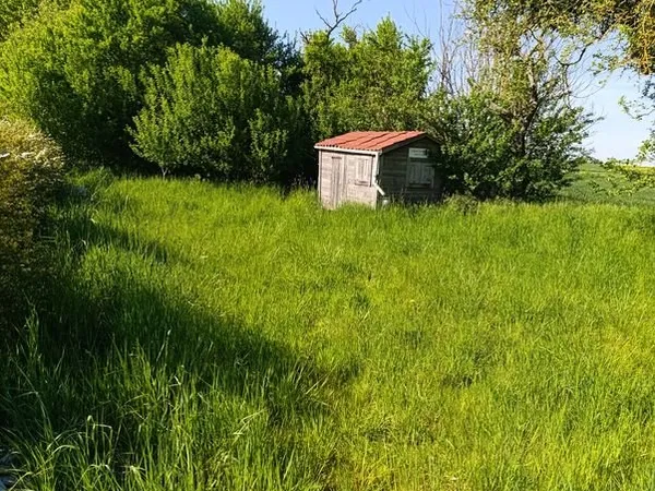 Terrain de loisir