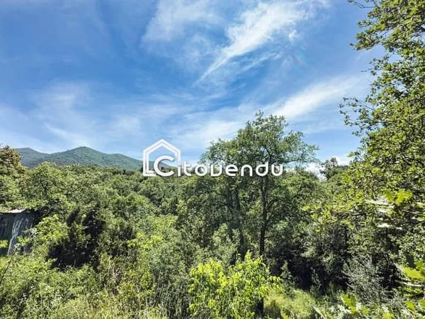 Terrain constructible de 1831 m²