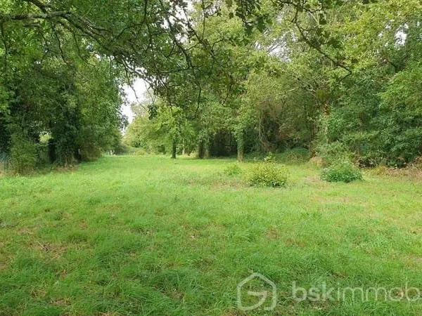 Terrain constructible 1550 m²