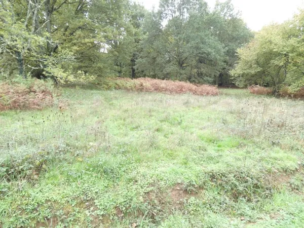 Terrain constructible 3207 m²