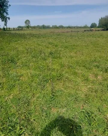Terrain pour projets agricoles ou loisirs