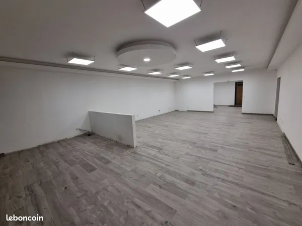 COLMAR/ Local professionnel de 252m²
