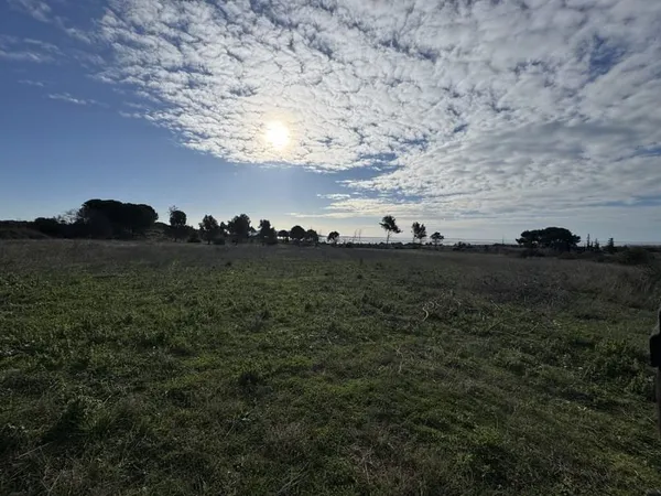 Terrain agricole