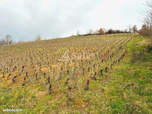Terrain 10025 m² Pierreclos