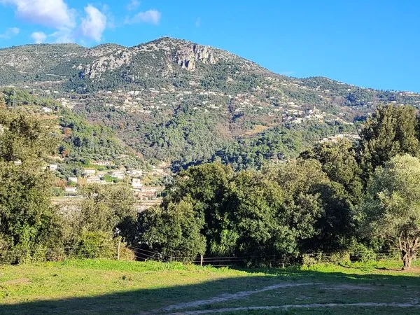 Terrain en individuel 482 m²