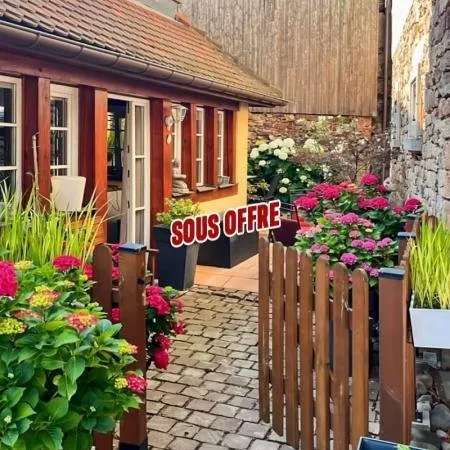 Horbourg-Wihr : Appartement 3 pièces de 63m² en rez-de-jardin