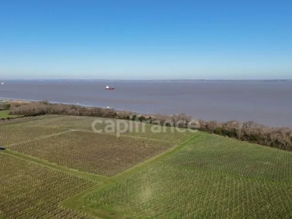Bien agricole et foncier Vente Saint-Yzans-de-Médoc   932400€