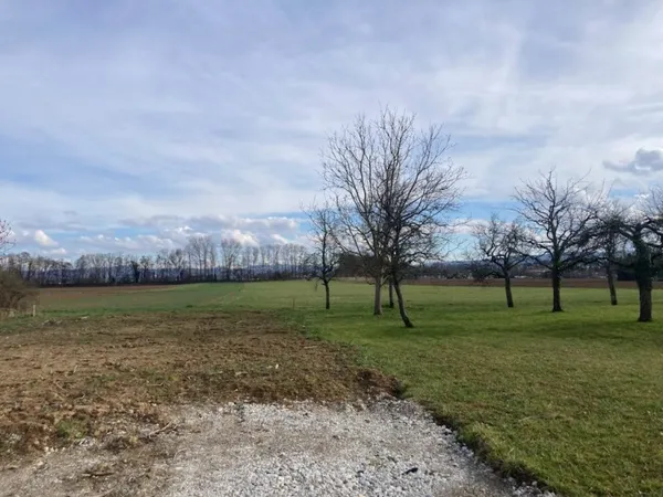 Terrain en individuel 1491 m²