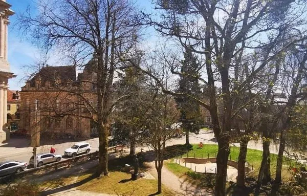Local commercial 314 m²