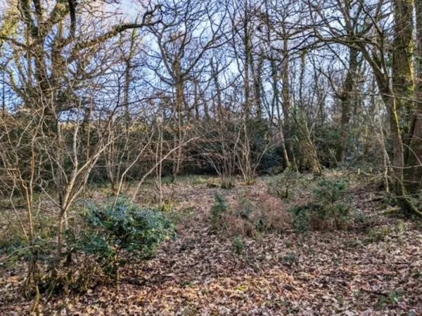 Terrain 1740 m²