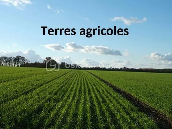 Terrain 100000 m²