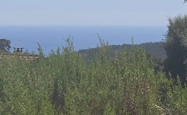 Terrain de 2000 m² avec permis purgé