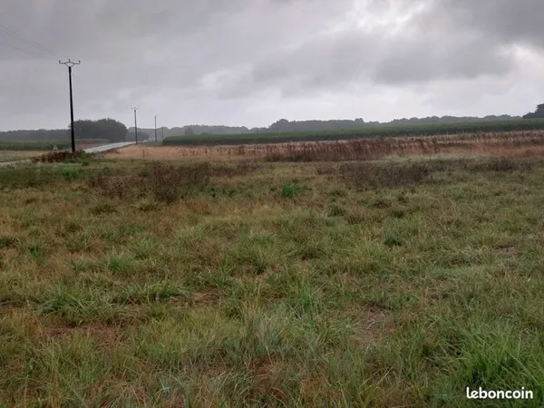 Terrain agricole