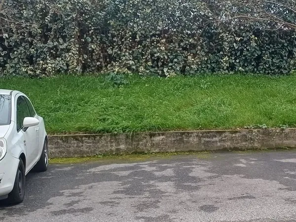 Parking Trois Cocus Toulouse
