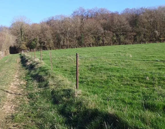 Terrain 20000 m²