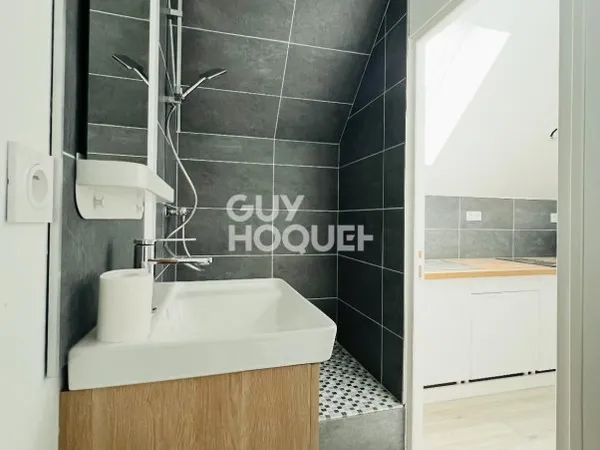 PROXIMITÉ CENTRE VILLE - APPARTEMENT DE TYPE STUDIO ENTIÈREMENT RÉNOVÉ