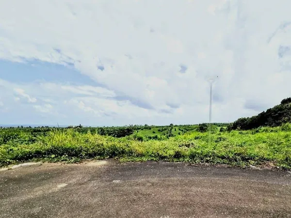 Terrain 774 m²