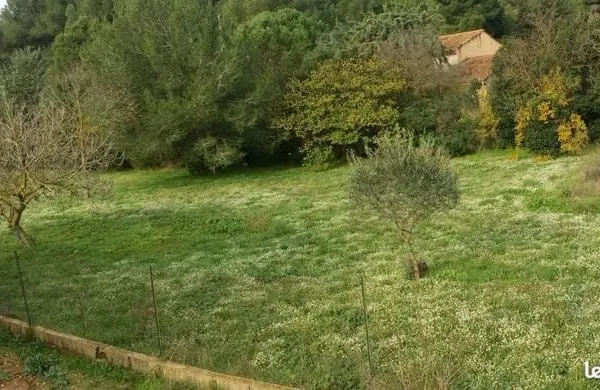 Terrain 700 m²