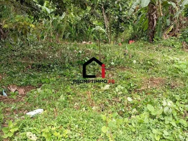Terrain Vente Gros-Morne   99000€