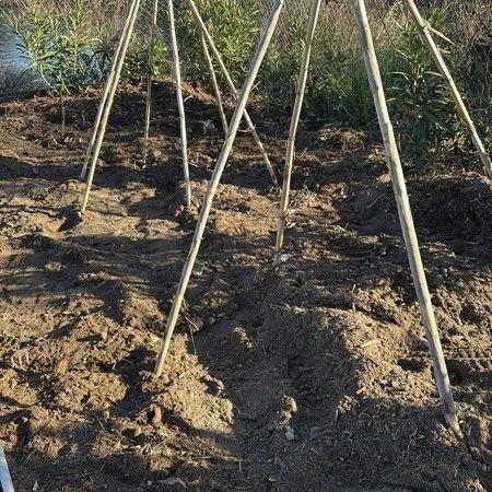 Terrain pour jardinage