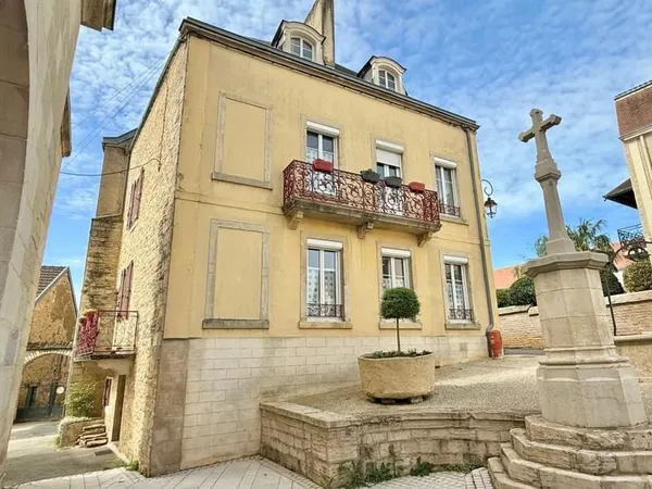 BIEN D'EXCEPTION - Au coeur des vignes a Morey-Saint-Denis