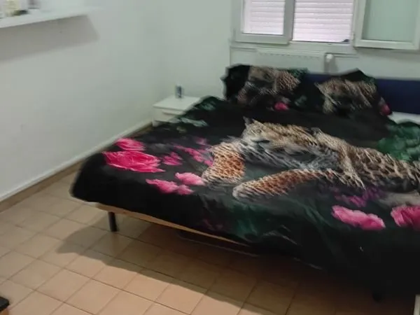 Sous location t3 meuble