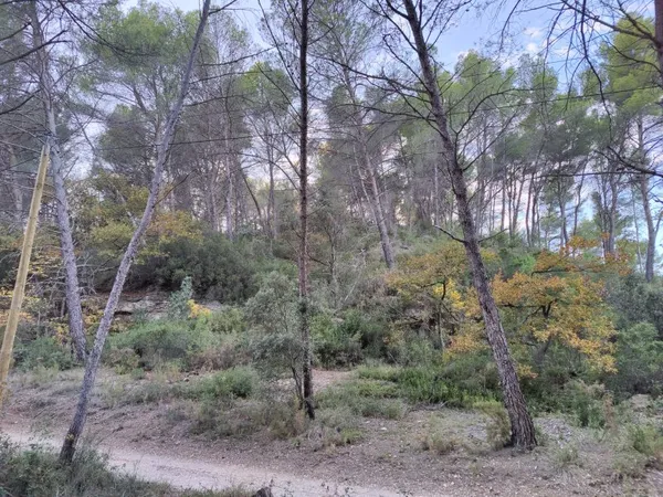 Terrain en individuel 4400 m²