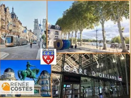 Viager occupé - H89 ans - ORLEANS (45100)
