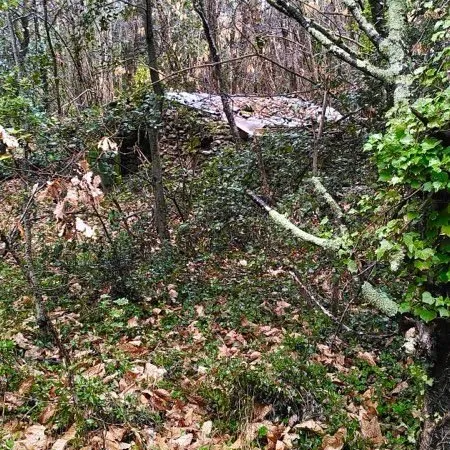 Terrain agricole