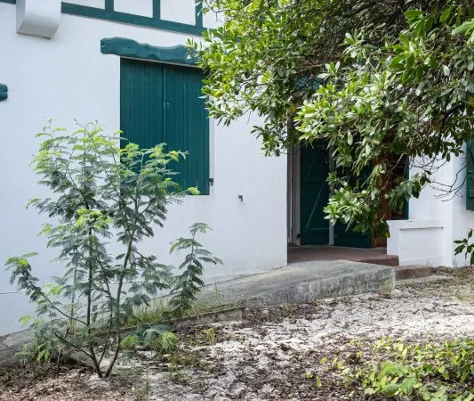 Vends Ravissante Villa au Coeur du Cap-Ferret - 4 chambres, 120m², Lège-Cap-Ferret (33)