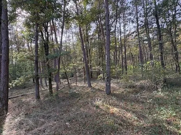 Terrain 24625 m²