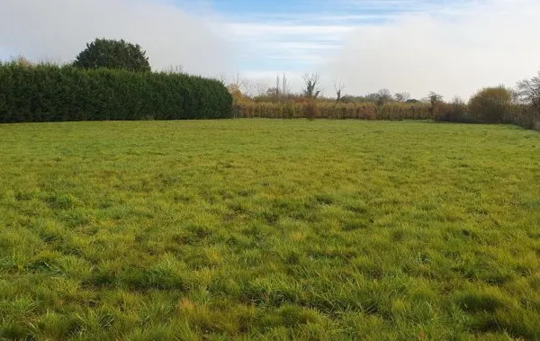 Terrain en individuel 6911 m²