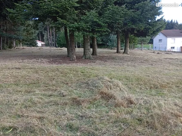 Terrain constructible