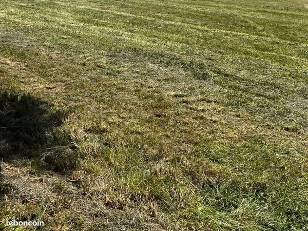 Terrain 1 000 m² Les Gonds