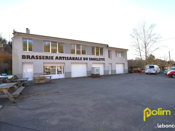 Local 380 m² Thiaucourt-Regniéville