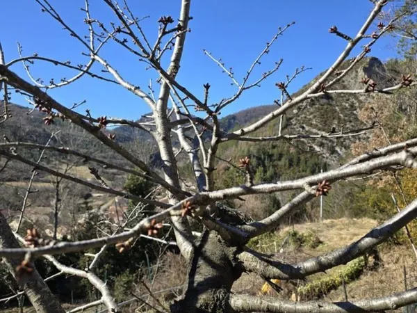 Terrain de 420 m2 non constructible en zone naturel ND O086,