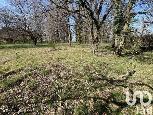 Terrain 980 m²