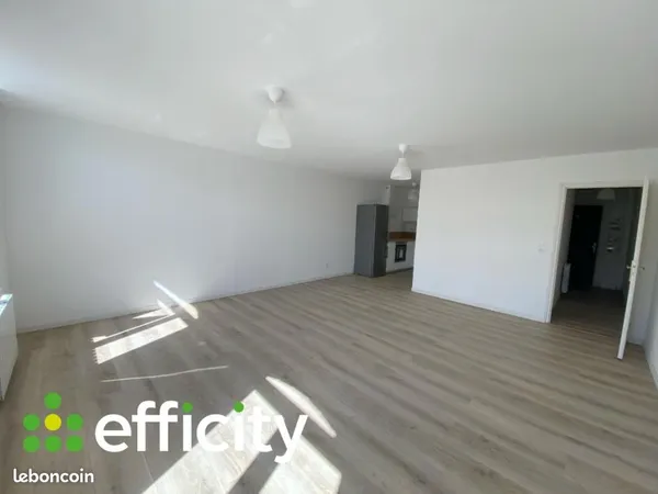 Appartement 1 pièce 45 m²