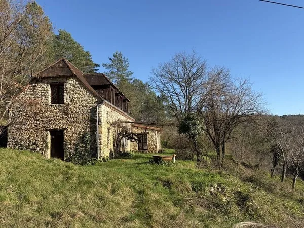 En Périgord noir-Vallée de la Vézère, entre Plazac et Saint-Léon, maison en pierre sur plus de 7 hec