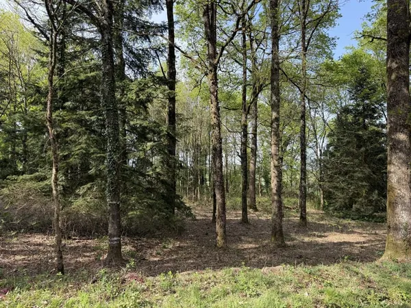 Terrain 2500 m²