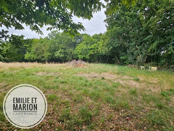 Terrain à vendre GENOUILLE (17) proximite Surgères - libre de constructeur