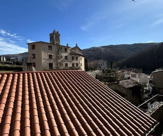 Achat : Maison Prats-de-Mollo-la-Preste (66230)