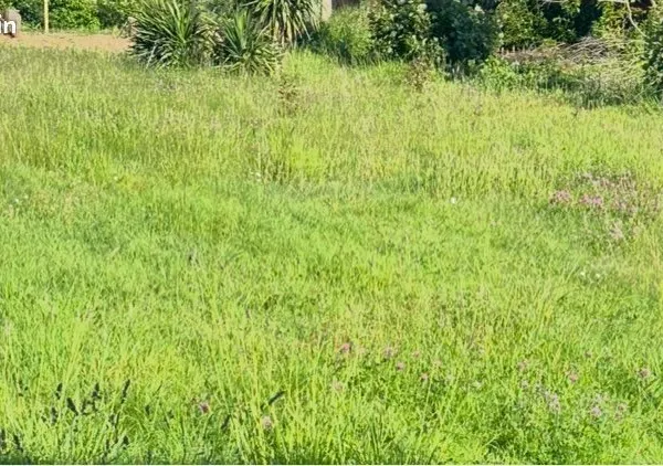 Terrain 423 m2