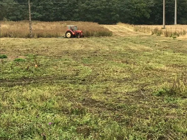 Terrain agricole à louer - 2 hectares - Idéal maraîchage ou pâture