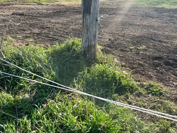 Terrain Location Gardanne  5000m² 50€