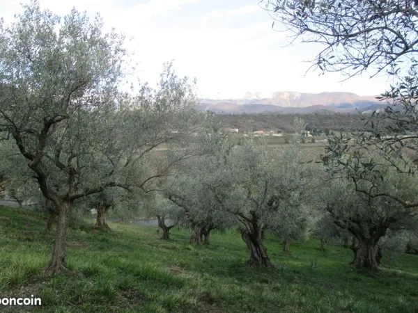 Bien agricole et foncier Vente Peipin  5300m² 32000€